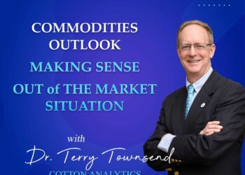 Cotton Price Outlook:  Making Sense Out of the Current Market